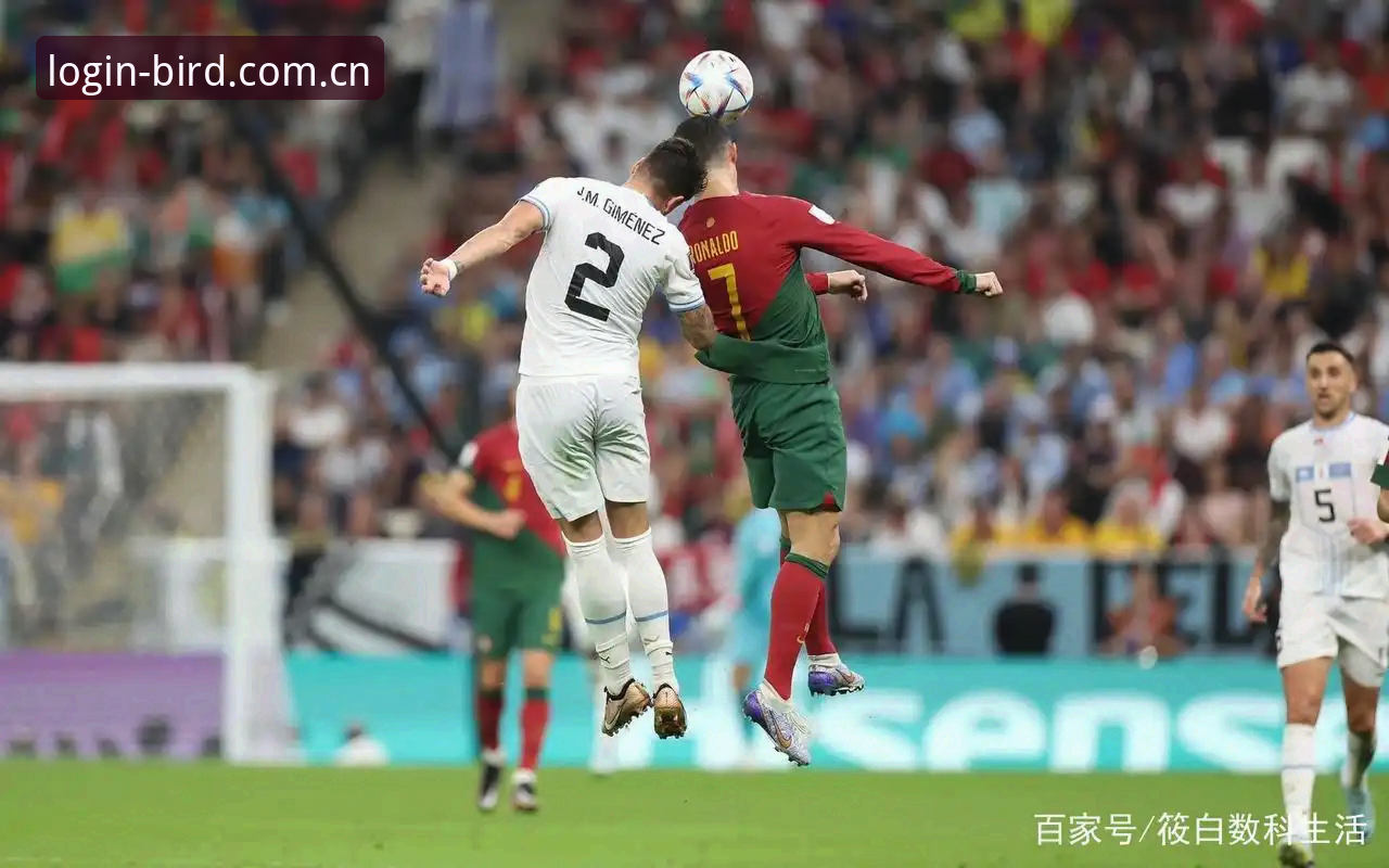 世界杯观赛空座危机 vs 小鸟平台v3.2.0版本:2026年国际球迷的签证困局与数字观赛新选择