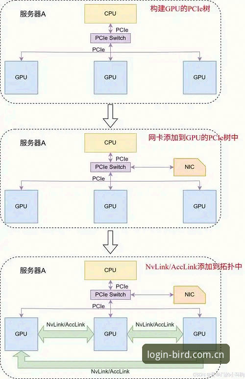 小鸟平台官网入口与第三方平台对比：如何选择更快速稳定的访问路径？